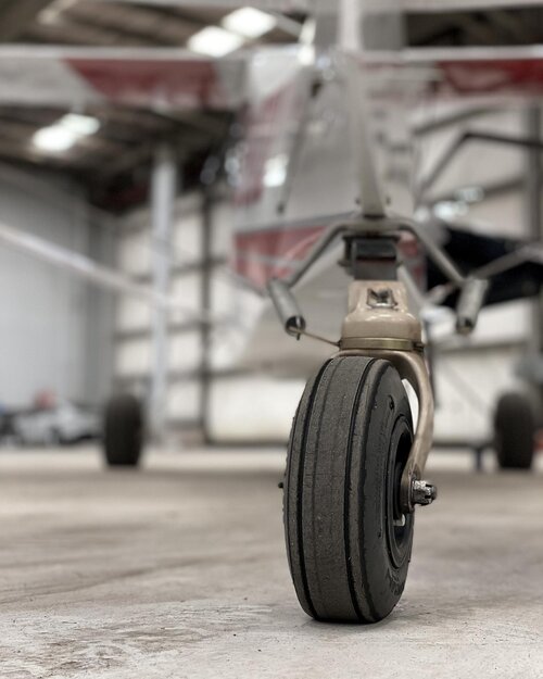 image-asset (4)